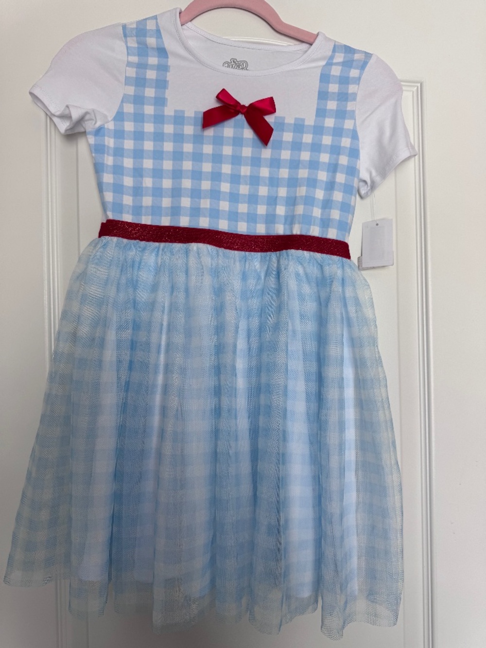 Dorothy Halloween Costume